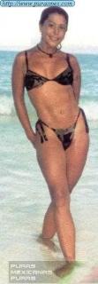 Alejandra Guzmán en Bikini [198x567] [20.64 kb]