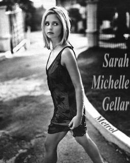 Sarah Michelle Gellar [614x768] [91.36 kb]